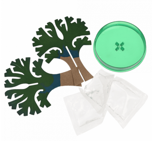 Magic Growing Tree - Image 3